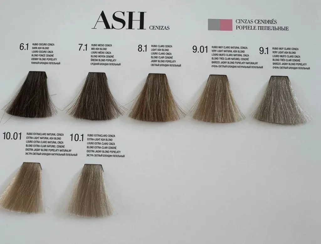 WhatsApp Image 2025-08-05 at 14.50.08 (4).webp