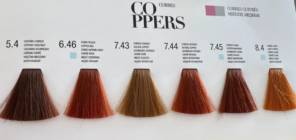 WhatsApp Image 2025-08-05 at 14.50.09 (1).webp