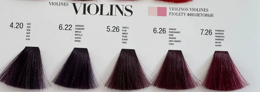 WhatsApp Image 2025-08-05 at 14.50.08 (2).webp