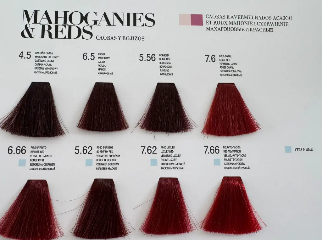 WhatsApp Image 2025-08-05 at 14.50.08 (1).webp