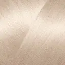 CARMEN_1001.webp