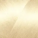CARMEN_2000.webp