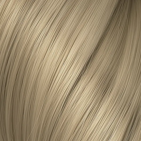 1002 (002).webp