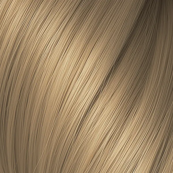 DB3 (002).webp